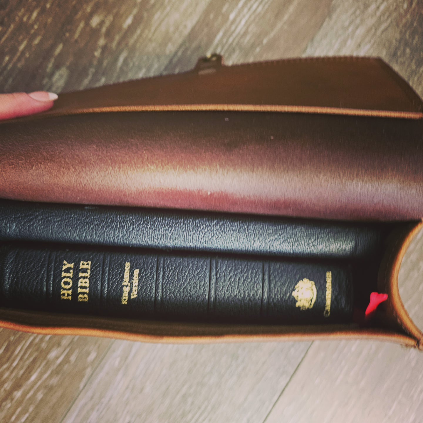 Mnt. Bracken Four Bible Bag